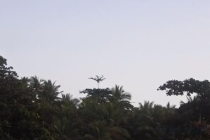 Unclassified image, 3 of 12, button - Three Queen Villa and Homestay (Wanokaka)