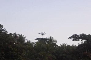 Miscellaneous - Three Queen Villa and Homestay (Wanokaka)