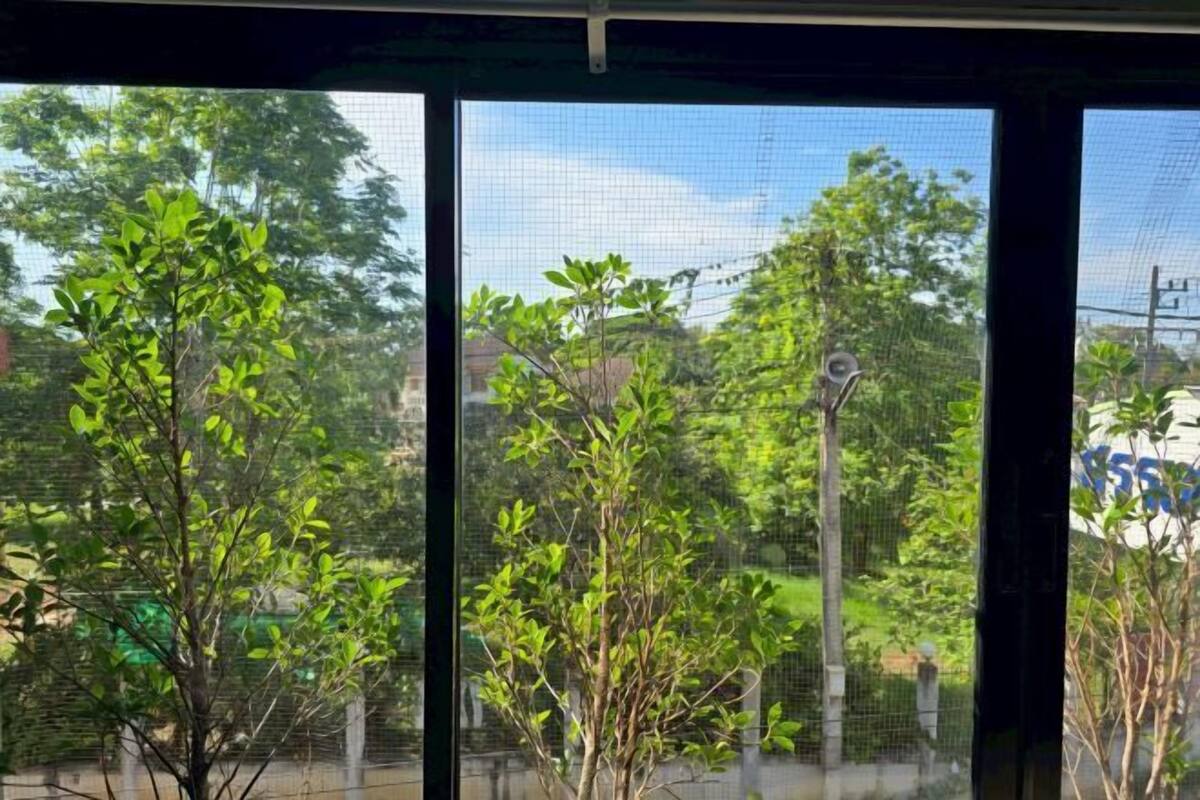 A view through a window with a metal mesh screen, displaying a tree and a street lamp outside.