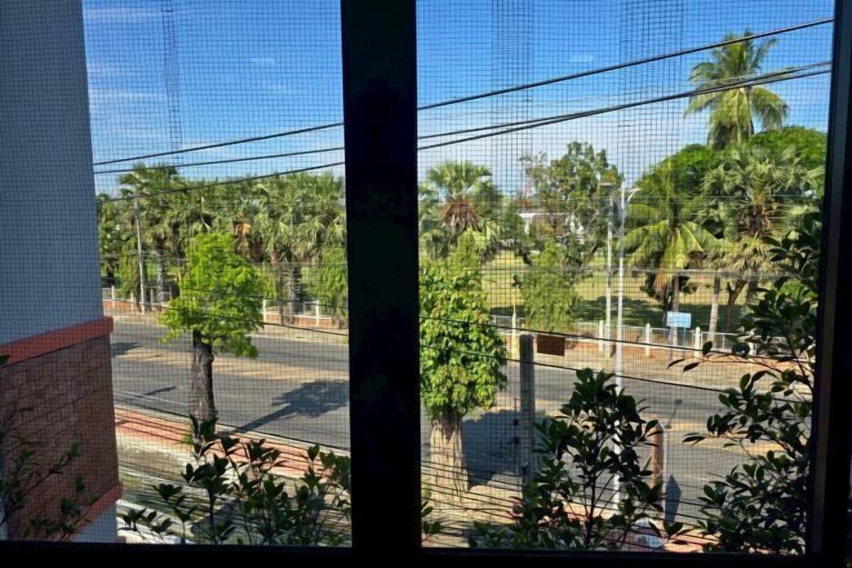 A view through a window with a metal mesh, featuring a street with palm trees and a brick building.