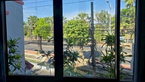 Vista a través de una ventana con mosquitera, mostrando una calle con vegetación y edificios.