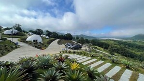 A landscape with domed structures, a paved pathway, and lush vegetation. - Sky Bay Chiangkhan (Chiang Khan)