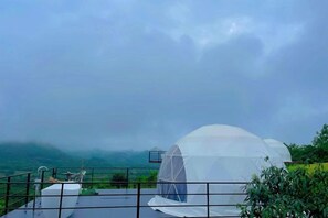 星評価なしの画像、5 / 61、ボタン