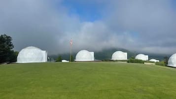 A grassy field with several white dome-shaped structures.