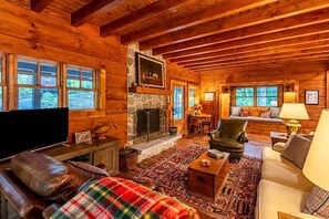 Smart TV, fireplace, books