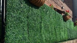 A brick wall with a green artificial hedge and hanging flower pots.