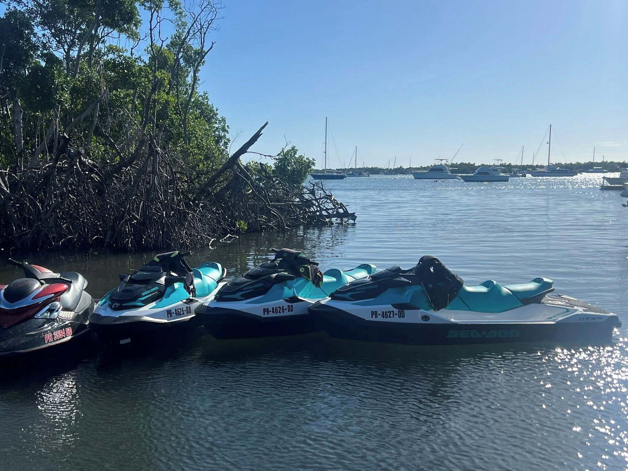 Una marina con varios jet skis amarrados cerca de una zona de manglares.