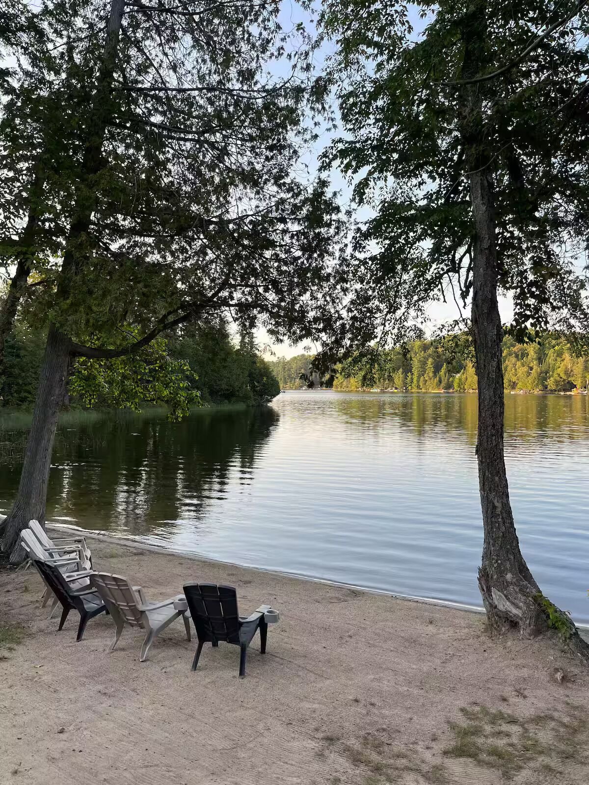 Värdens profilbild