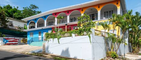 公寓 | 1 間睡房