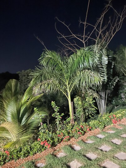 Da Palm inn