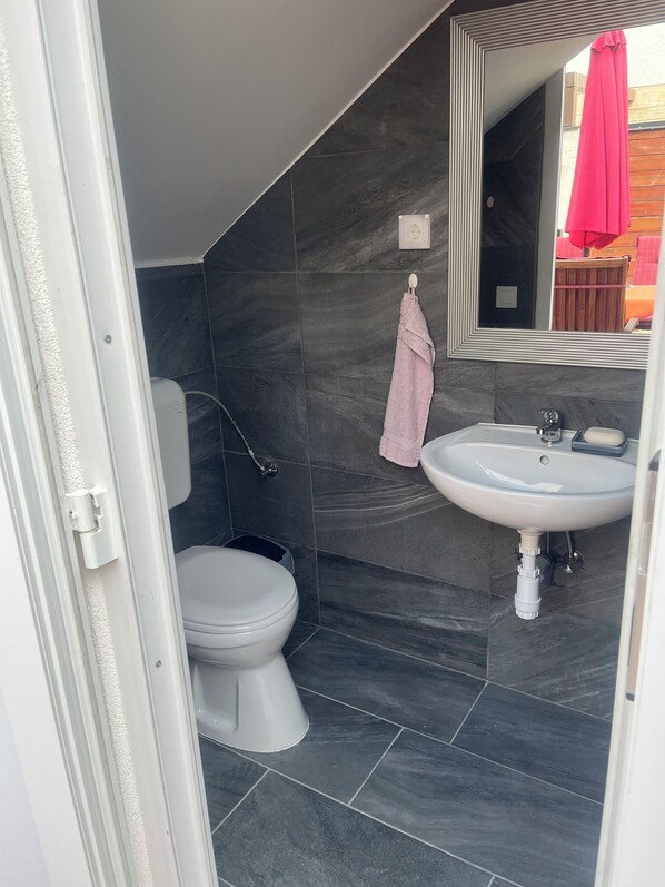 A bathroom with a white toilet, a sink, and a mirror.