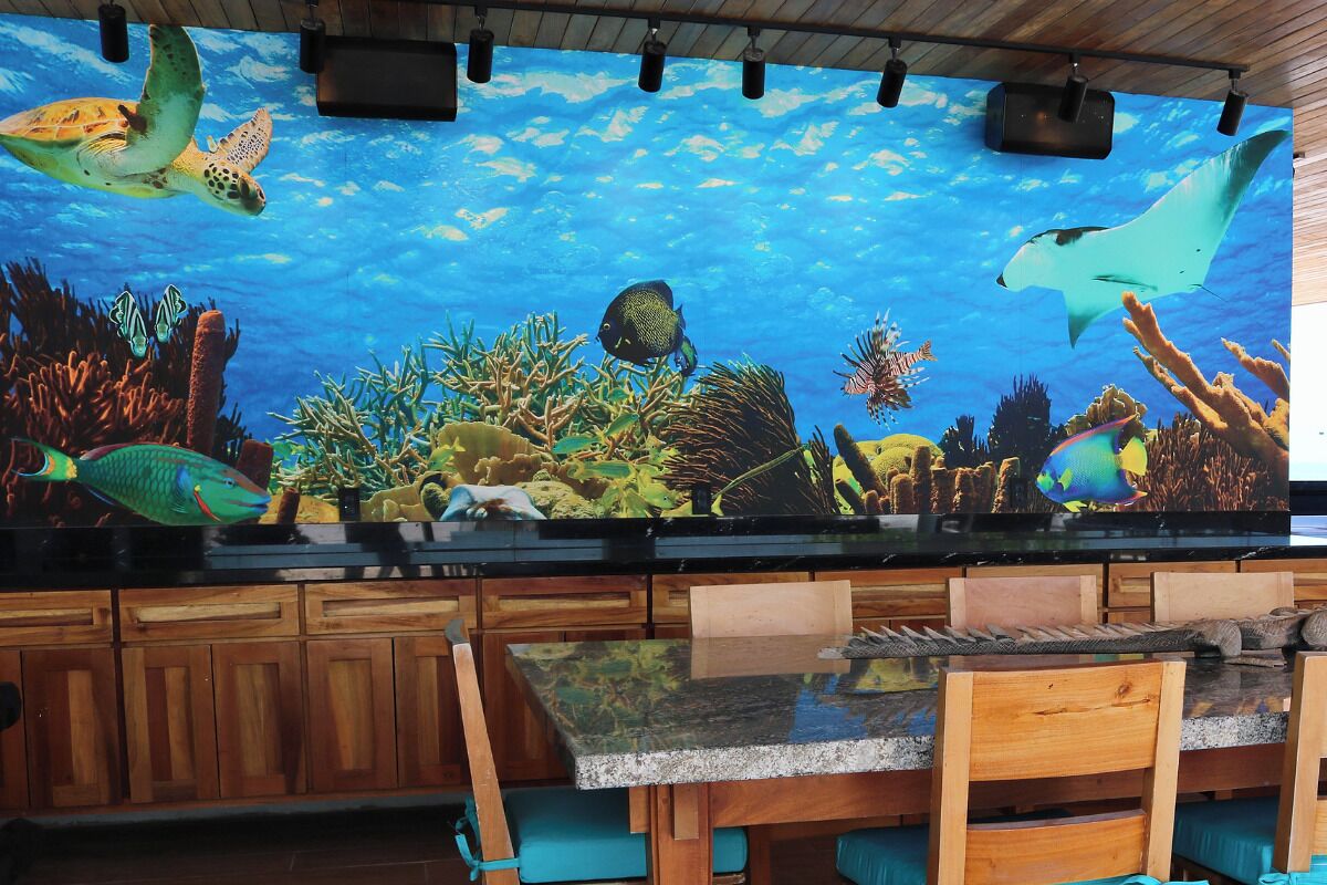 Un restaurant orné d’une grande fresque représentant la vie marine, doté de meubles en bois et d’un comptoir surmonté d’une plaque de verre.
