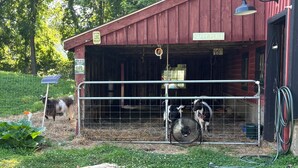 A red barn with a metal gate, a fan, and a solar panel outside.