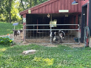 Property grounds