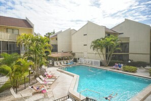A swimming pool area with lounge chairs and palm trees. - Huge Heated Pool ❤ Short Walk to the Beach, ride FREE Trolley around the Key! (Siesta Key)