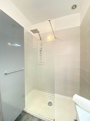 Shower, towels, soap, toilet paper - Large charming house with swimming pool, wooded grounds, on the edge of a national forest (Saint-Laurent)
