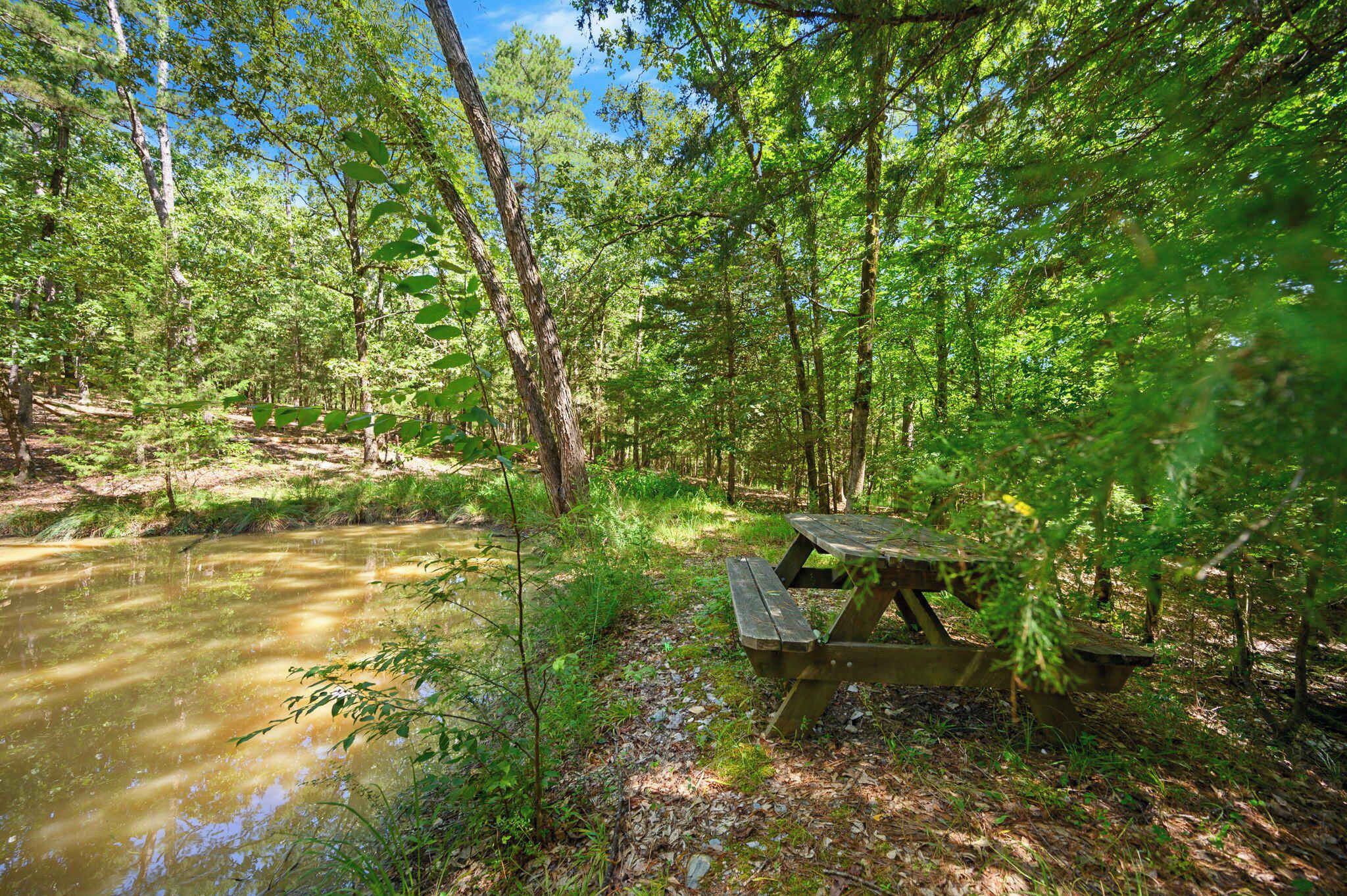 A picnic table in a forested area with a stream.