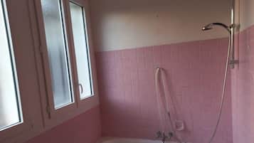 Bidet, towels, soap, toilet paper