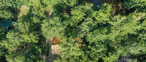 An aerial view of a dense forest with a small clearing.