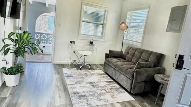 Un salon moderne avec un canapé gris, un tapis à motifs et une plante en pot.