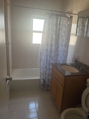 Hair dryer, towels, soap, toilet paper