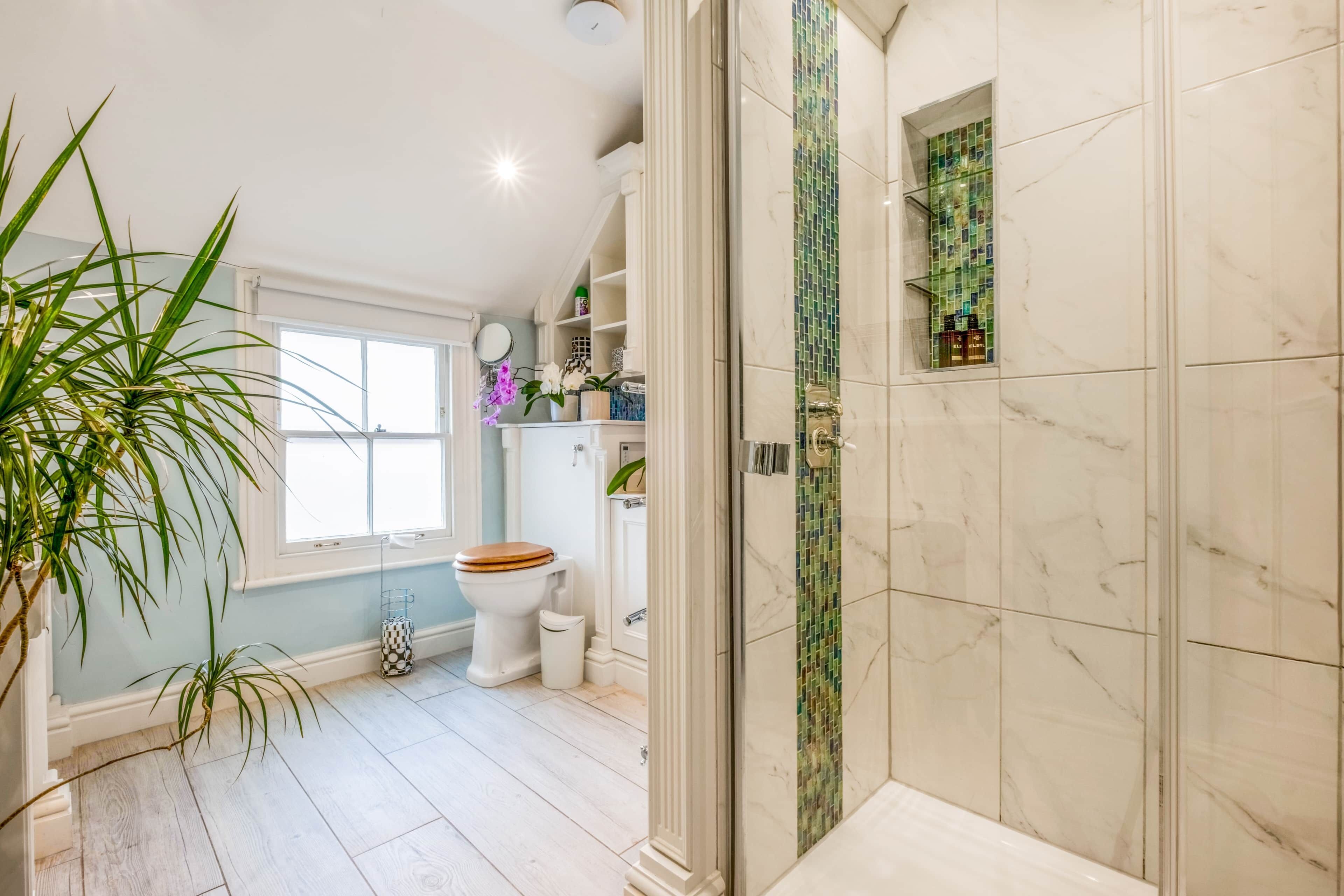 Shower, toilet paper