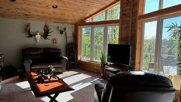 TV connectée, cheminée