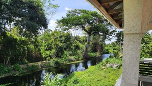 Une vue sur la rivière, avec une végétation luxuriante et une structure en bois.