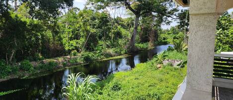 A riverside view with lush greenery and a wooden structure.