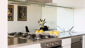 Fridge, oven, stovetop, dishwasher