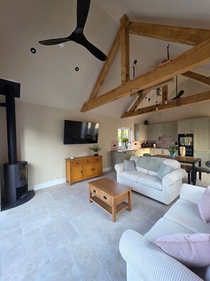 Smart TV, fireplace