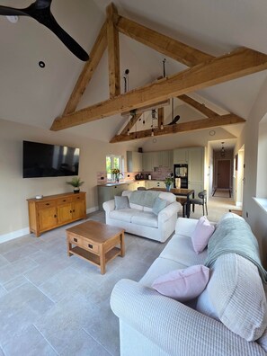 TV connectée, cheminée