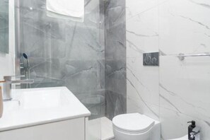 Shower, hair dryer, bidet, towels