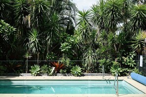 Una piscina rodeada de exuberante vegetación tropical.