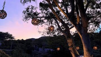 A tree with hanging spherical lights and a bench in a grassy area.