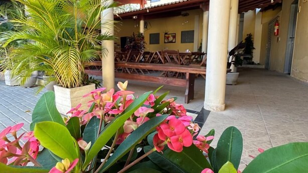 A covered outdoor area with a wooden bench and potted plants. - Pousada Aconchego da Serra (Martins)