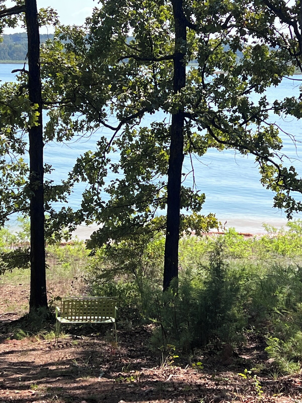 Imagen de perfil del propietario o de la propietaria