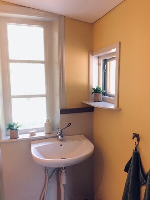 Regadera, amenidades de baño ecológicas, secadora de cabello, toallas