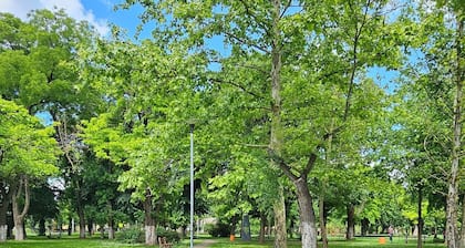 "Spacious City-View Apartment with Free Parking & Coffee