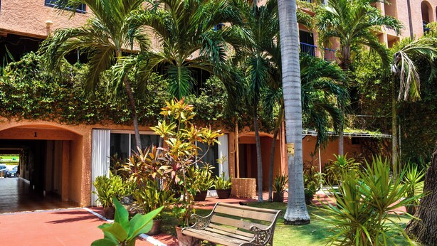 A courtyard with a bench, palm trees, and a building with balconies.