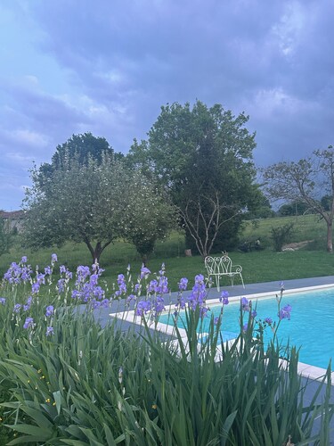 Le Jardin Des Dames Lavandes