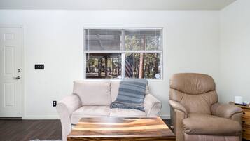 Älytelevisio, takka, kirjoja