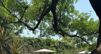 Historic house with service and hot pool (1)