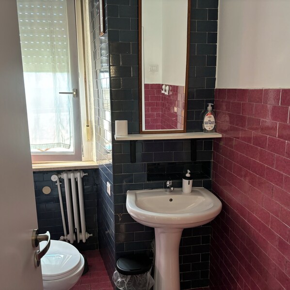A bathroom with a white sink, a mirror, and a toilet. - Single room with shared bathroom and private parking in Loco (Potenza)
