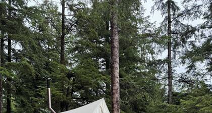 Lake Elizabeth Retreat - car rental available!