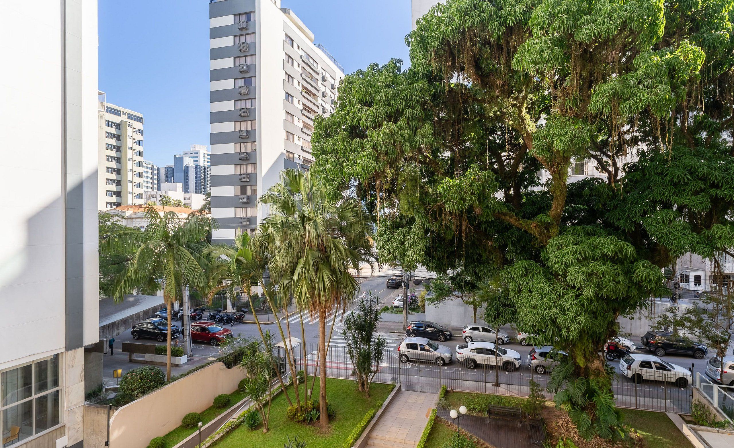 Un barrio residencial con un árbol grande, una calle con autos estacionados y edificios altos al fondo.