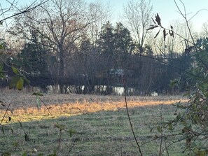 A natural landscape with a body of water, trees, and grass.