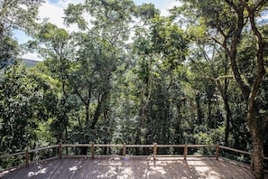 Vista desde la habitación