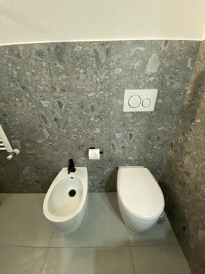 Shower, hair dryer, bidet, towels