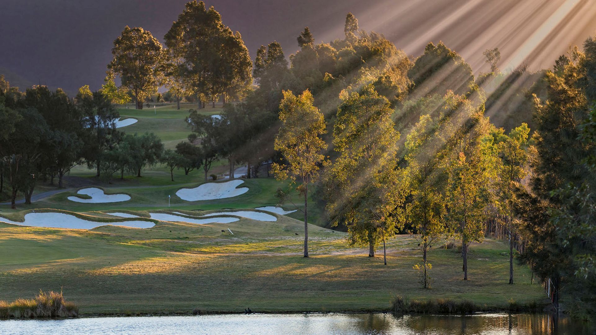 Golf